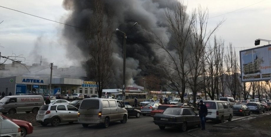 Фото: София Жукова, dumskaya.net