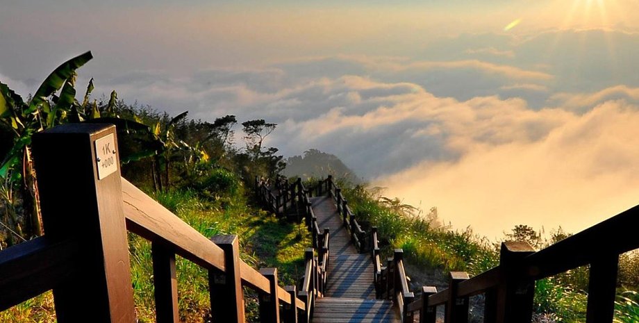 Из открытых источников