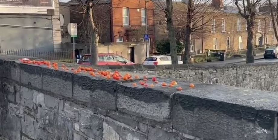 На мосту в Ирлании появились помидоры, люди озадачены, курьезы, интересные истории, приколы