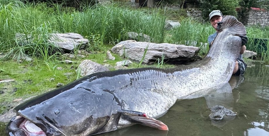 Якуб Вагнер, сом, рекордний сом