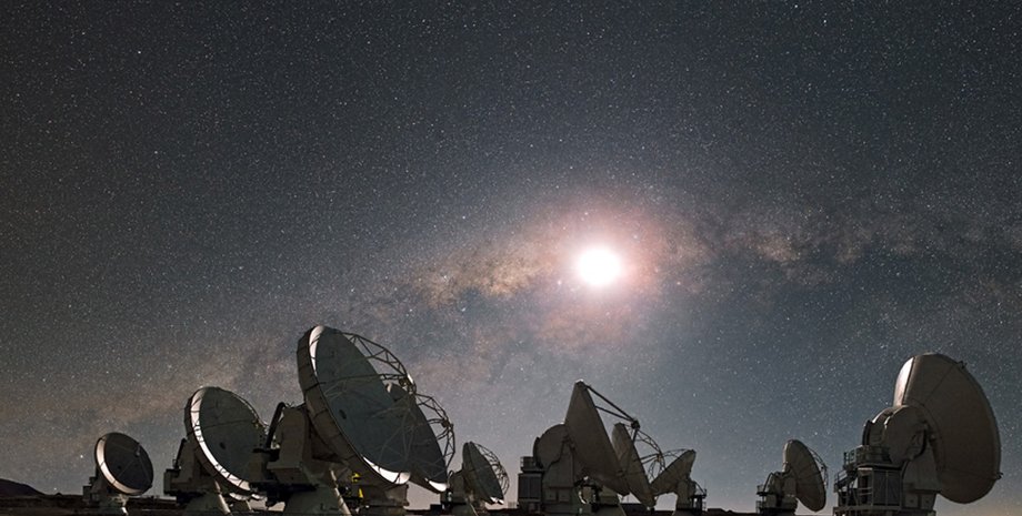 Фото с сайта Trashbox