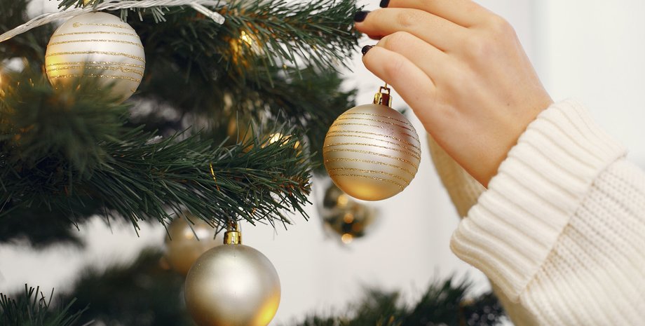 новорічна ялинка новорічна ялинка, різдвяна ялинка, новий рік, різдво, комахи