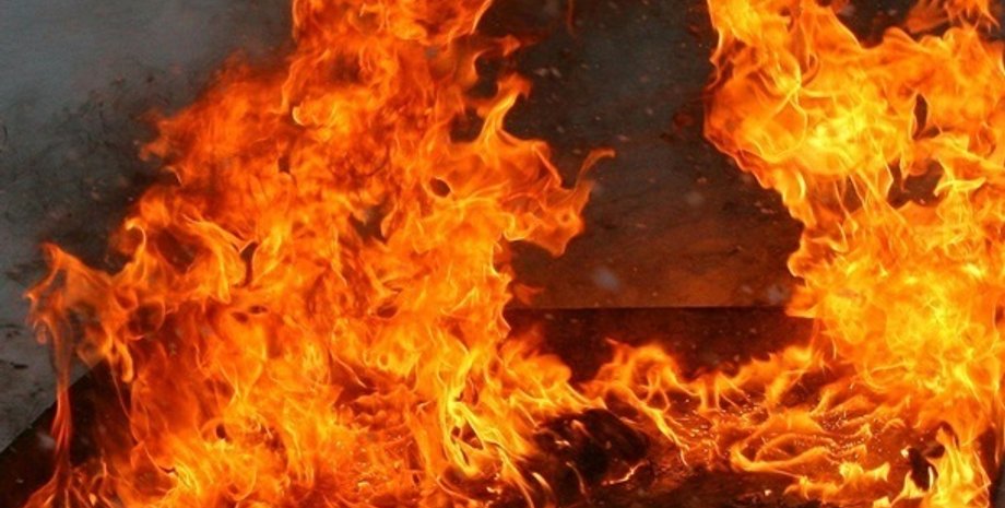 Фото: Вести