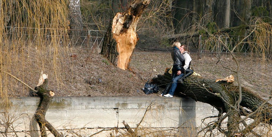 Фото: Ярослав Дебелый