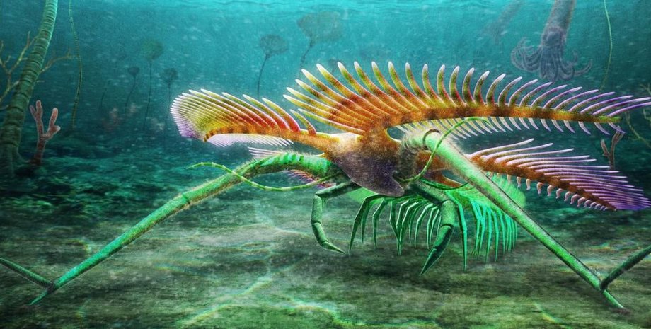 Tomlinsonus dimitrii, море, рисунок, фото