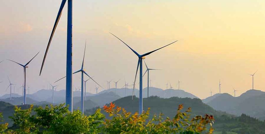 Фото: news4you.com.ua