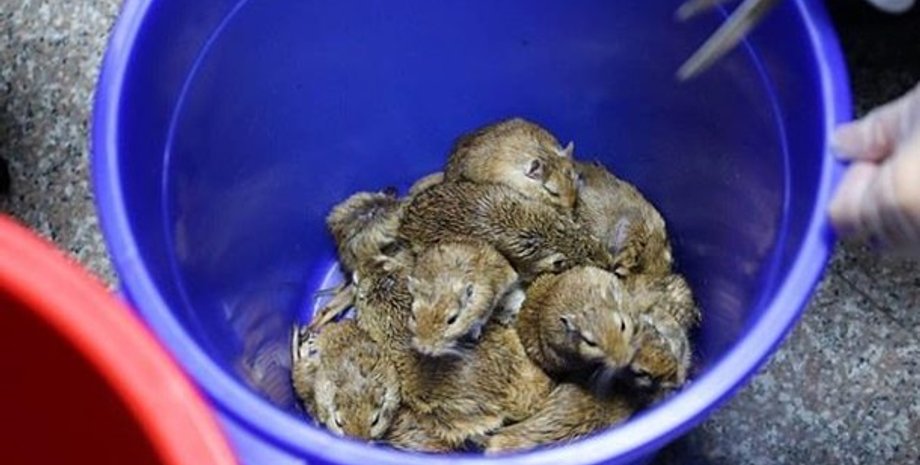 Фото: Coast Guard