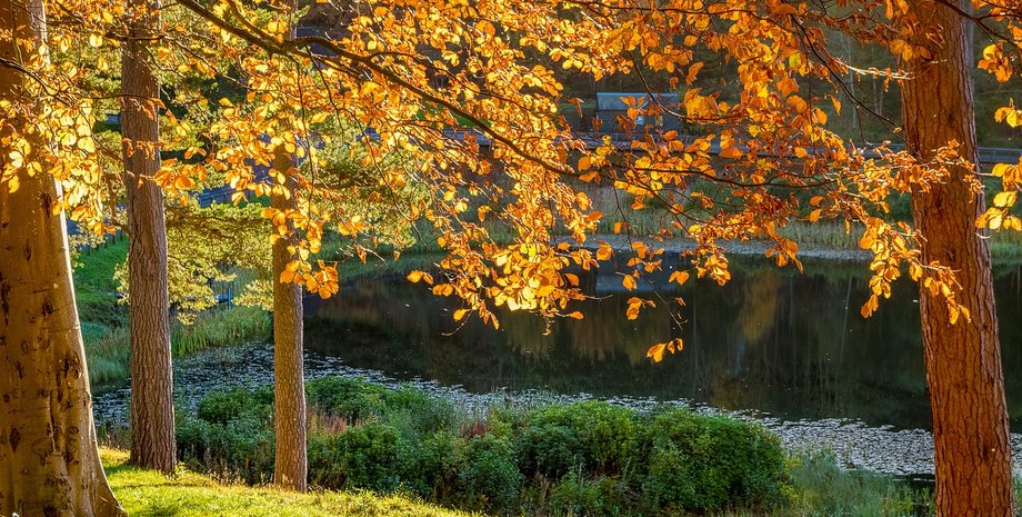 В Украину зайдет бабье лето с потеплением до +21