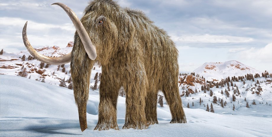 шерстистий мамонт, сніг, зима, гори, малюнок