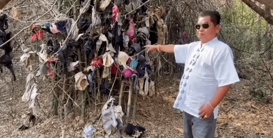 Дерево мастурбации