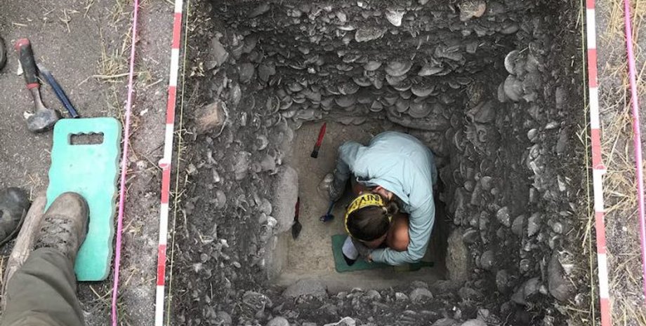 керамика, Австралия, посуда, глина, аборигены, гончарство, колонизация, остров, австралийцы, изделие, община, фрагмент, горшок