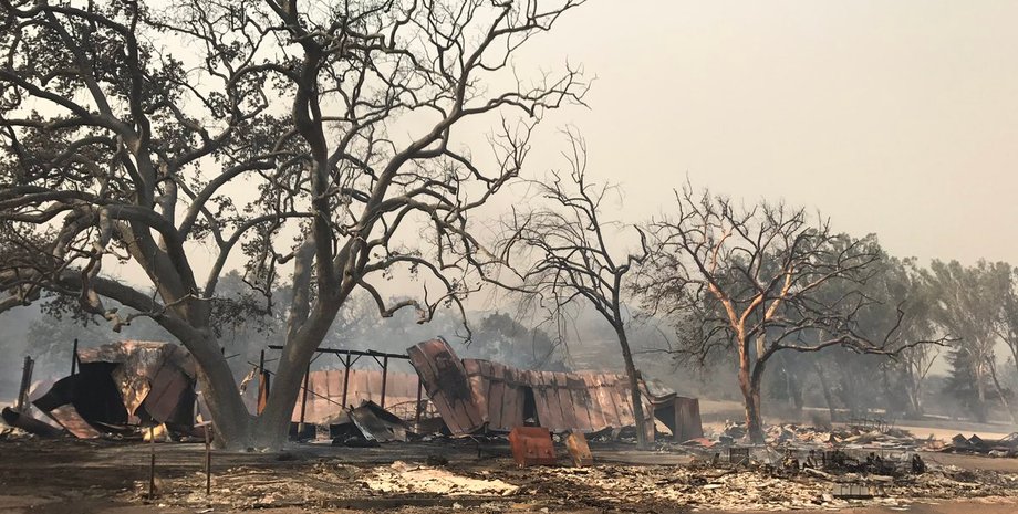 Фото: twitter John Schreiber