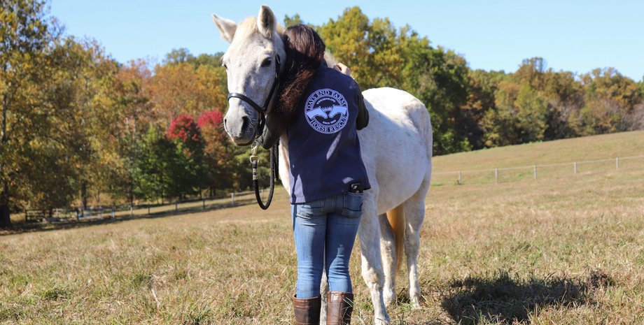 лошадь, человек, девушка, фото