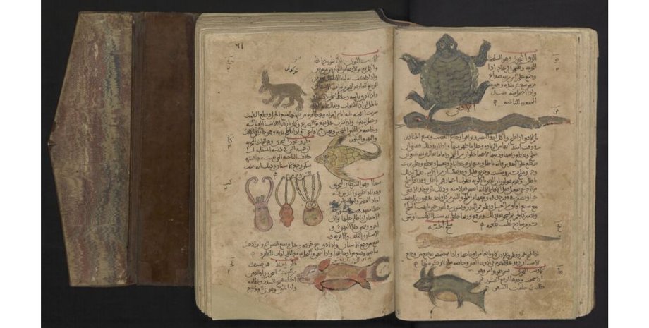 рукопис, Аполлоній, історія, геометрія, математика, манускрипт, вчені, тексти, знання, наука, дослідження, іслам, світ, прогрес