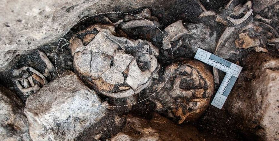 древний череп, останки, камни, снимок