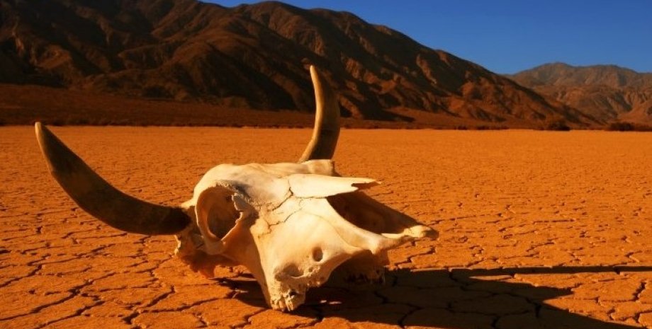 засуха, вымирание