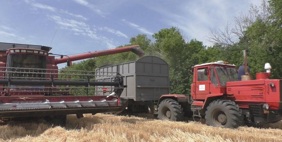 поля, сбор урожая, Луганская область, агротон, холдинг агротон, агротон луганск