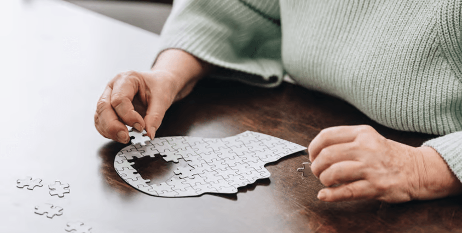 пазл, разум, память