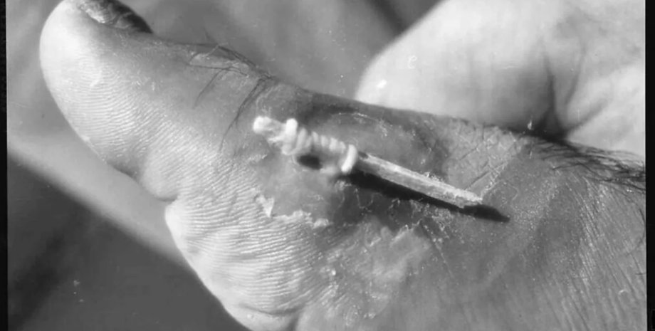 червь, паразит