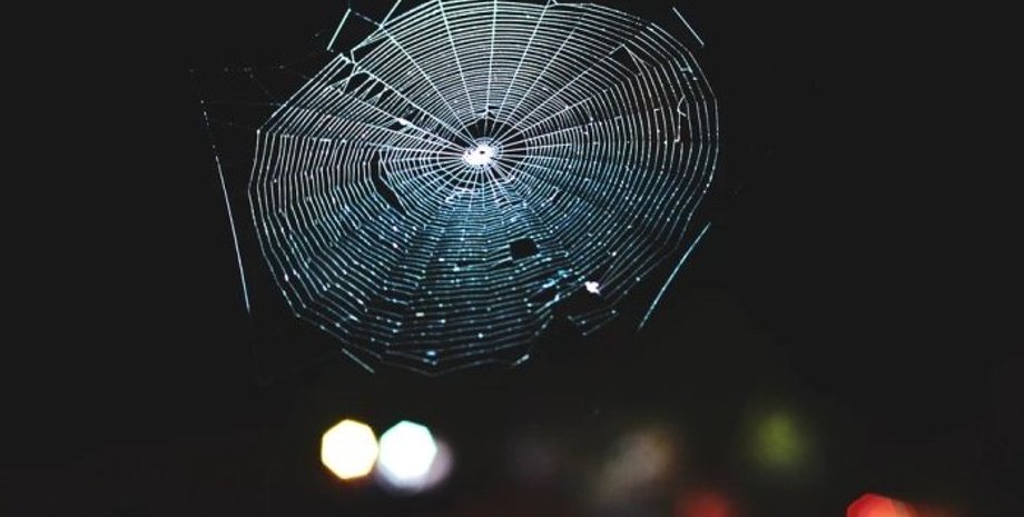 паутина, паутина музыка, музыка паутина