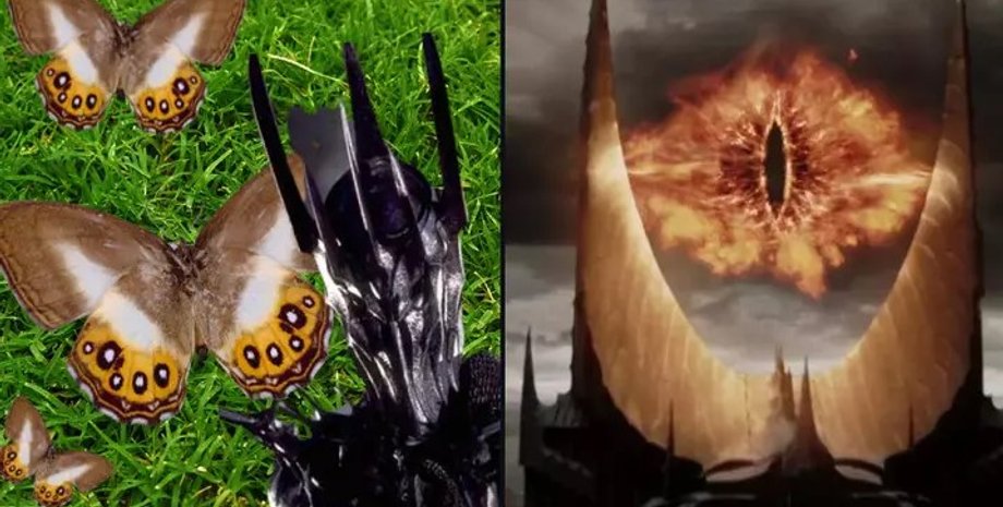 метелик, всевидюче око, саурон, володар кілець