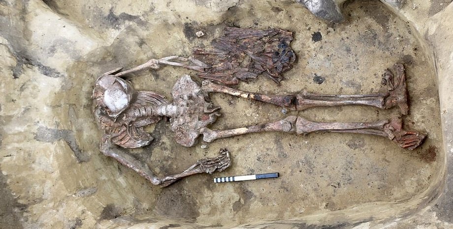 Фото: Institute of Archeology and Ethnography, The Siberian Times