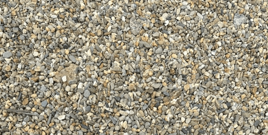 Визуальная головоломка, утка, камни и галька, тест, задача, головоломка, берег, пляж,