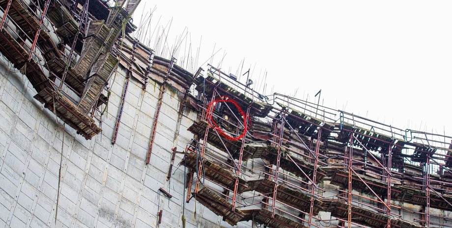 Птица, ЧАЭС