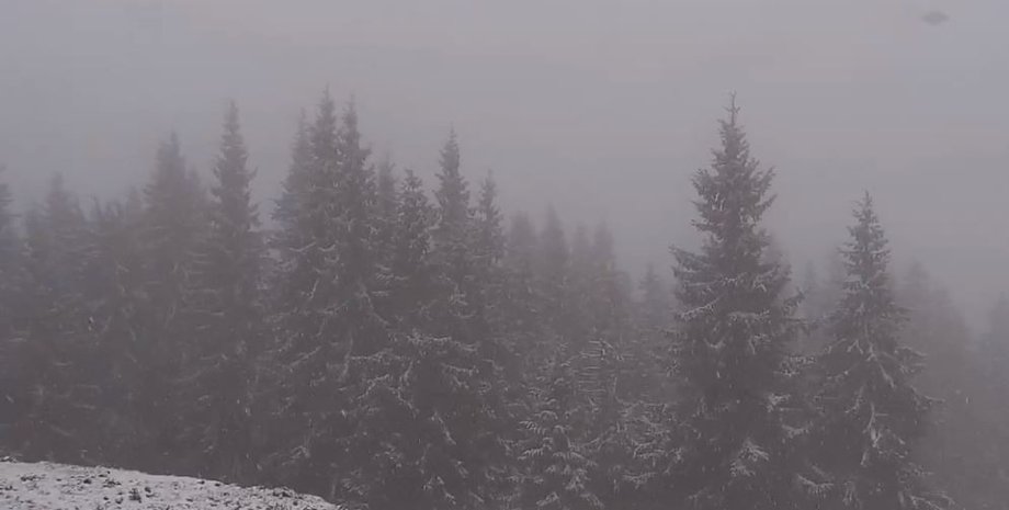 Карпаты, отдых