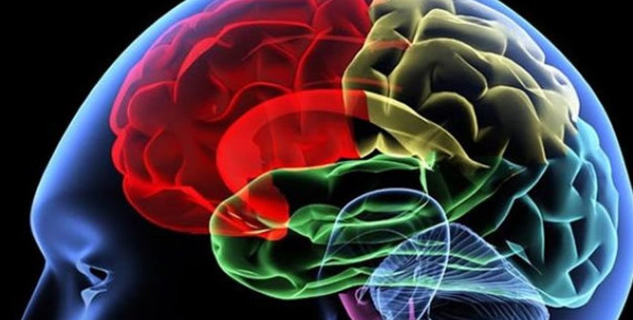 Фото: КиевВласть