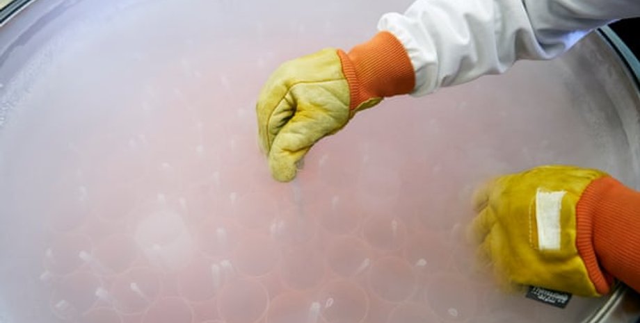 Фото: Сhristopher Thomond/The Guardian