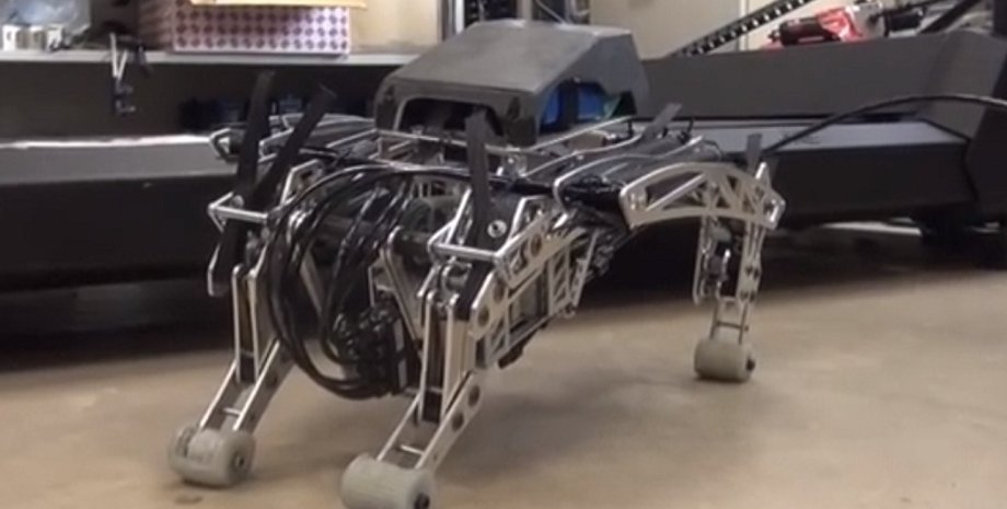 ПневмоПес / Фото: YouTube