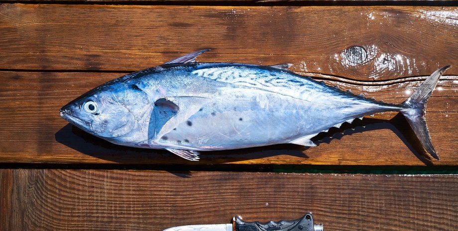 как быстро почистить рыбу, чистка рыбы без ножа, кулинарные лайфхаки, обработка рыбы, советы по приготовлению рыбы