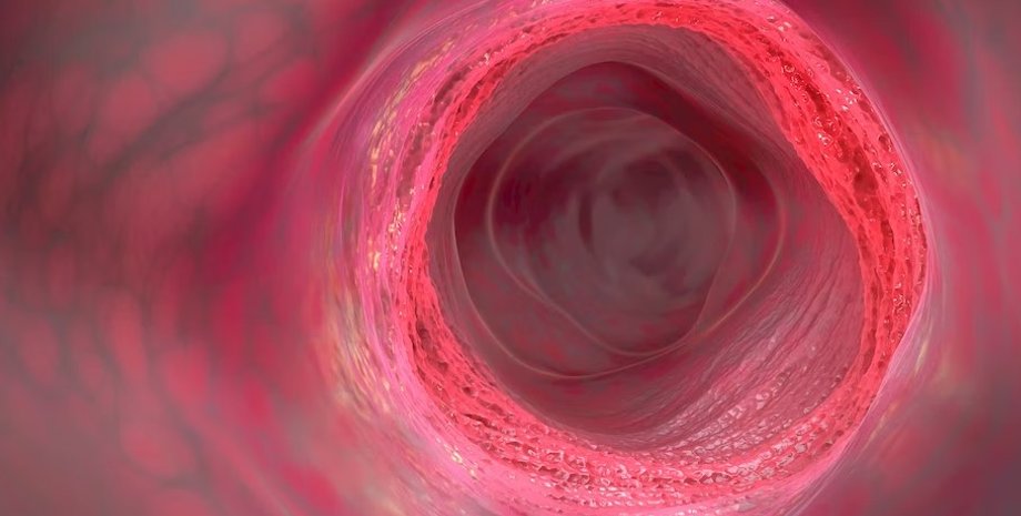 пряма кишка, озонотерапія