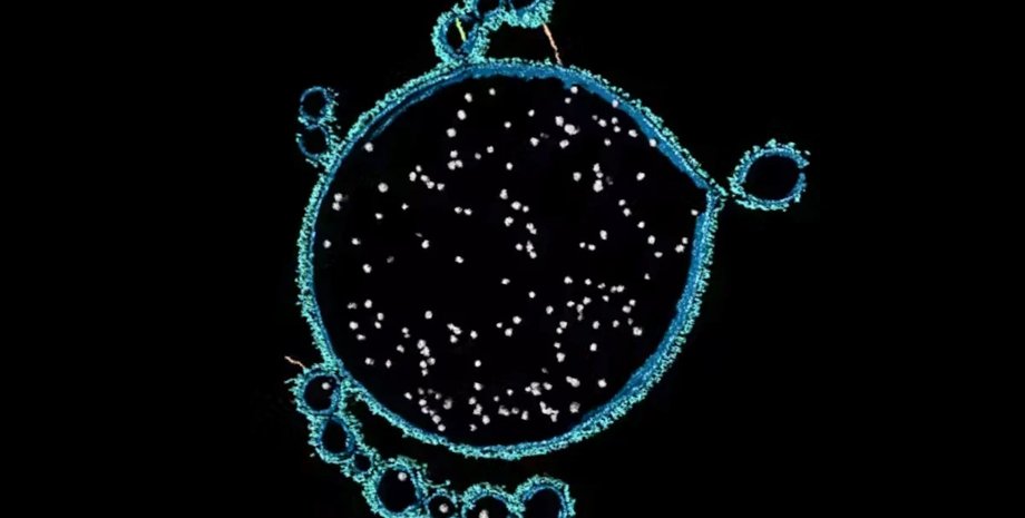 архея асгарда