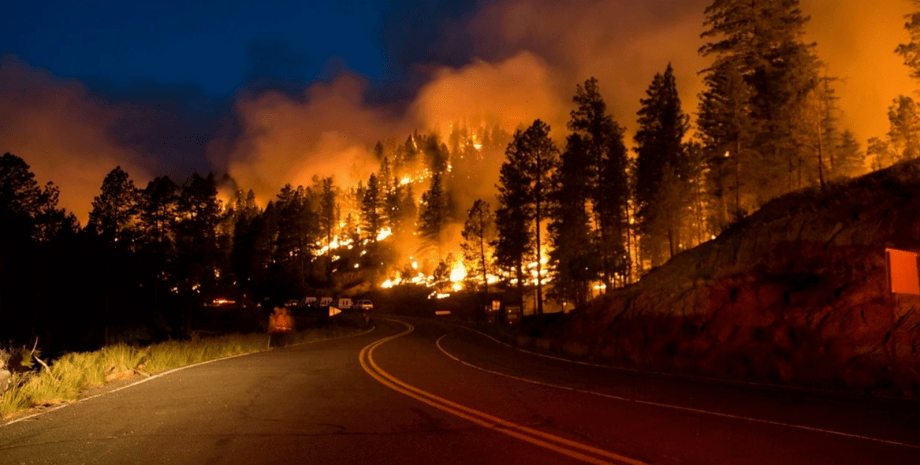 лісова пожежа, Челябінська область, фото