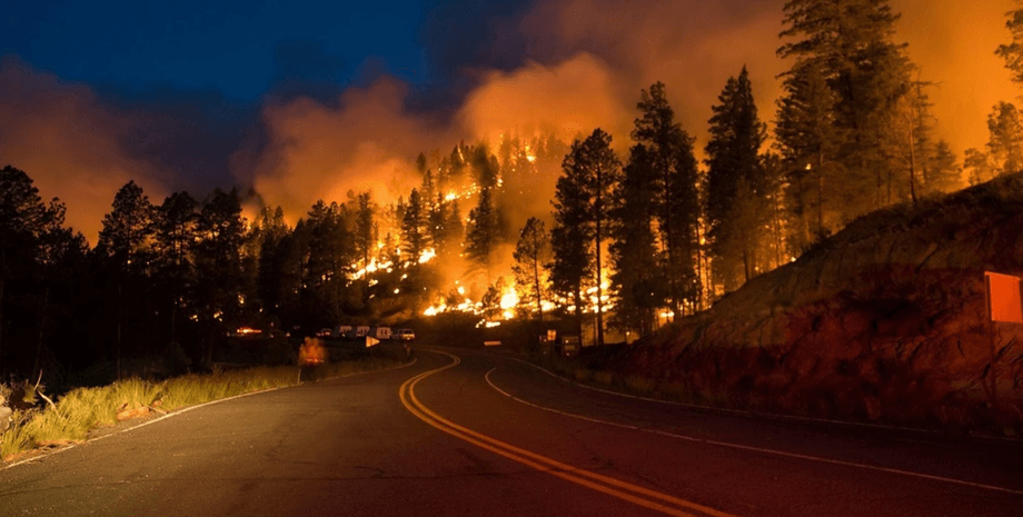 лісова пожежа, Челябінська область, фото