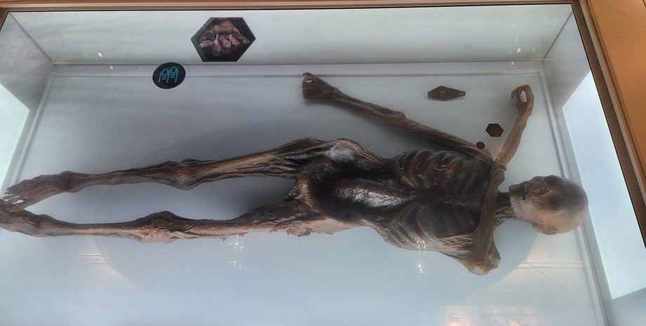 Вчені дослідили мумію Етці