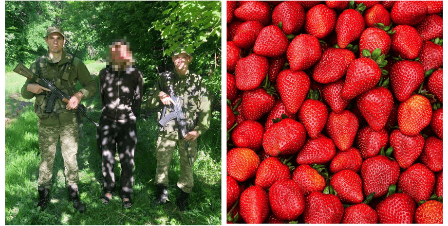 поляк, польша, гражданин польши, украина, клубника, поляк пытался попасть в украину для сбора клубники, пограничники