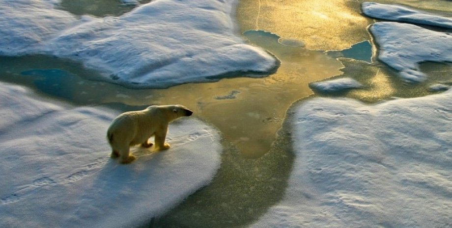 арктика, арктика клімат, потепління арктики