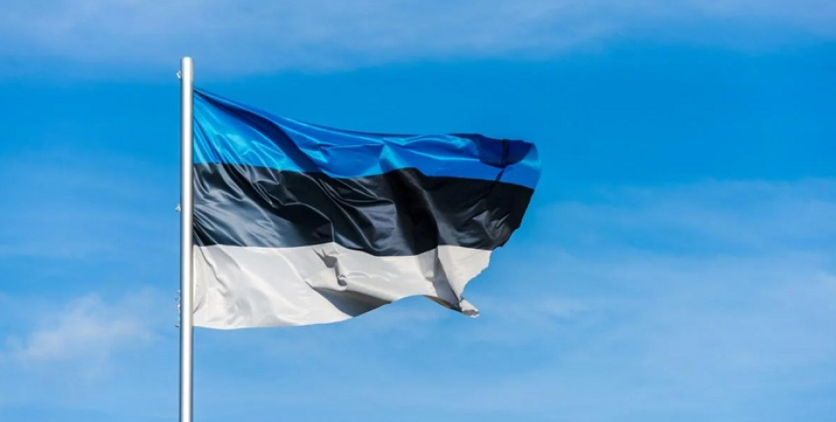 Эстония, войска в Украине, отправка войск в Украину