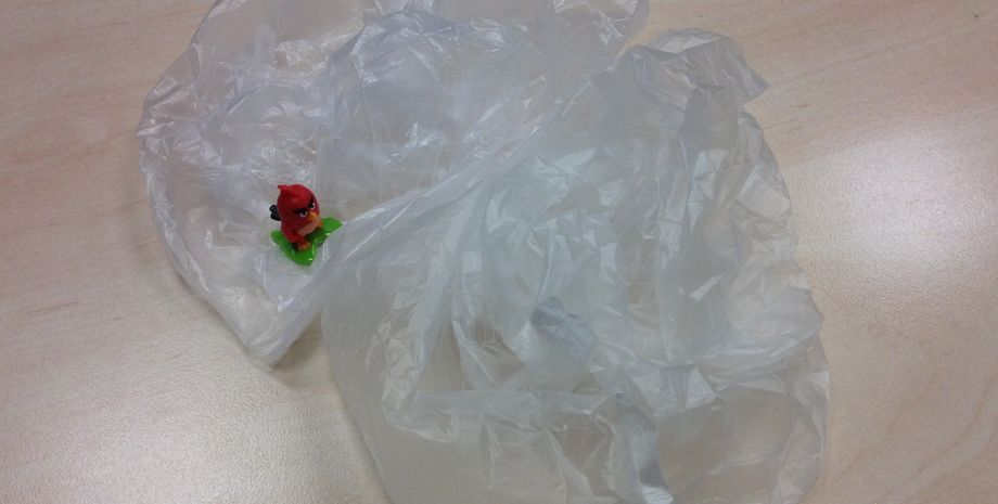 Фото: Фокус