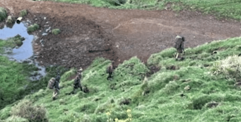 сім'я Філліпсів