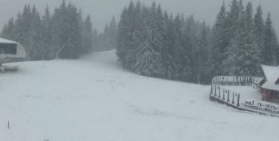 Фото: Новости Закарпатья