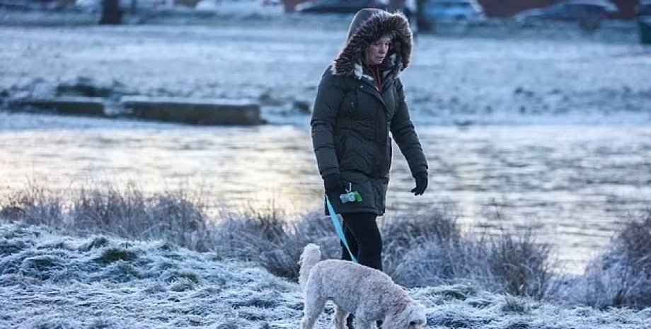 Морозная погода Морозная погода, мороз, зима