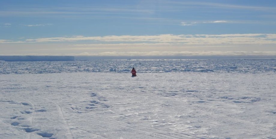 Фото: Courtesy of Alexander Stahn