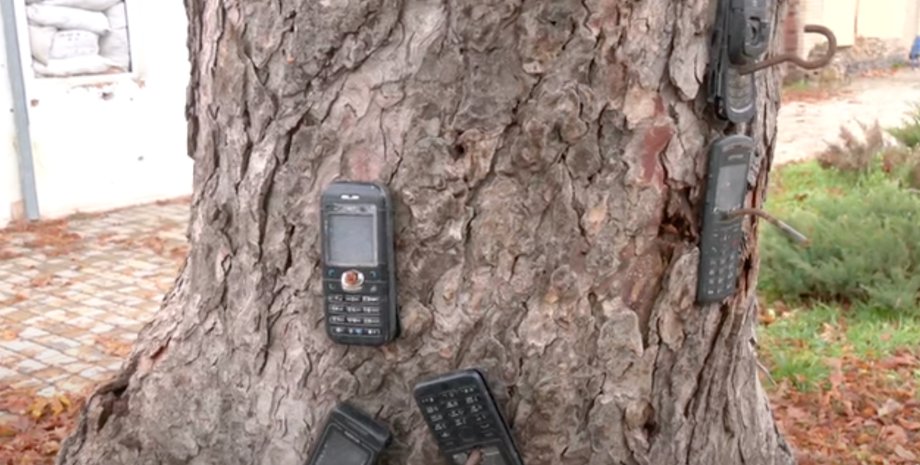 казачья лопань, мобильные телефоны, дерево, оккупанты