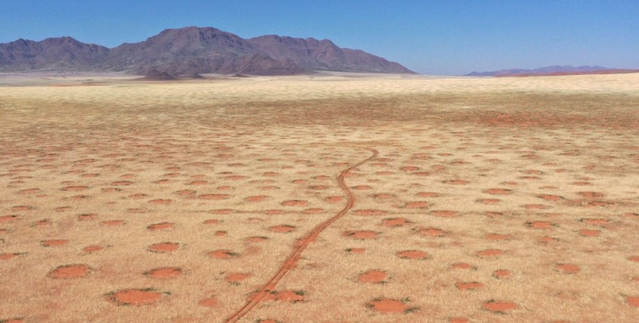Чарівні кола Намібії