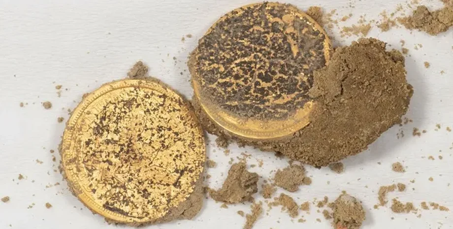 Археологическая находка, солдаты Конфедерации, остатки гражданской войны, место битвы, скелетные останки, ампутированные конечности, исторические артефакты, битва при Вильямсбурге, 3D фотограмметрия, идентификация солдат.