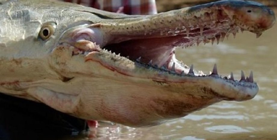 Фото: densegodnya